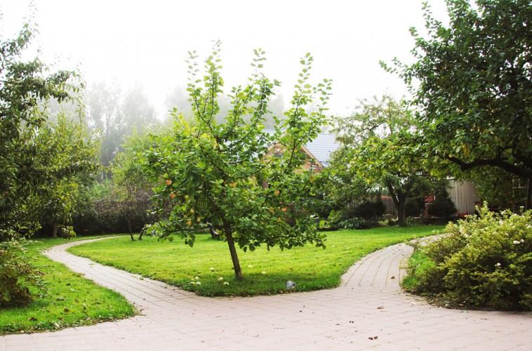 Apartamentai Obelyne Palanga Exteriér fotografie