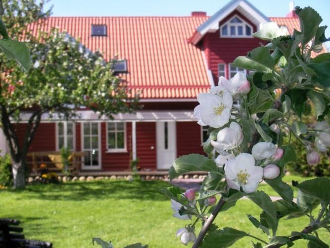 Apartamentai Obelyne Palanga Exteriér fotografie