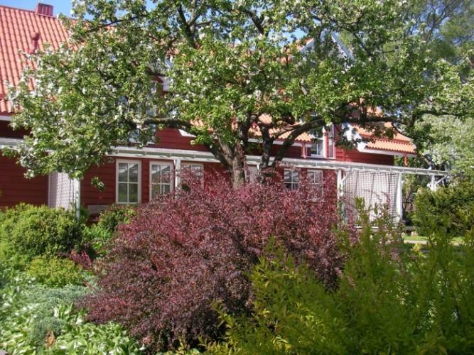 Apartamentai Obelyne Palanga Exteriér fotografie